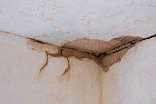 Best Ceiling water damage repair  in Dovesville, SC