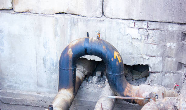Best Fire Damage Restoration  in Dovesville, SC