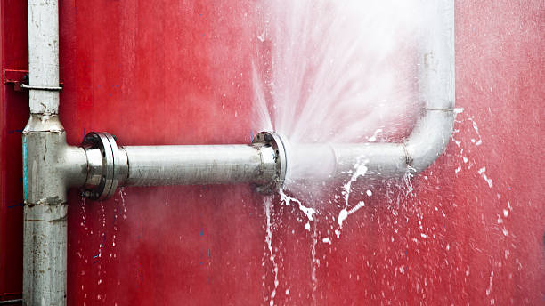 Best Commercial water damage restoration  in Dovesville, SC
